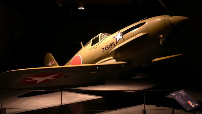 Vad betyder kamikaze